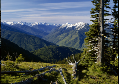 Elwha Valley from Hurricane Ridge by Ross Hamilton, with permission