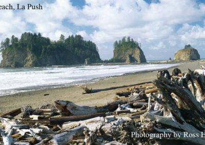 First Beach, LaPush by Ross Hamilton, with permission